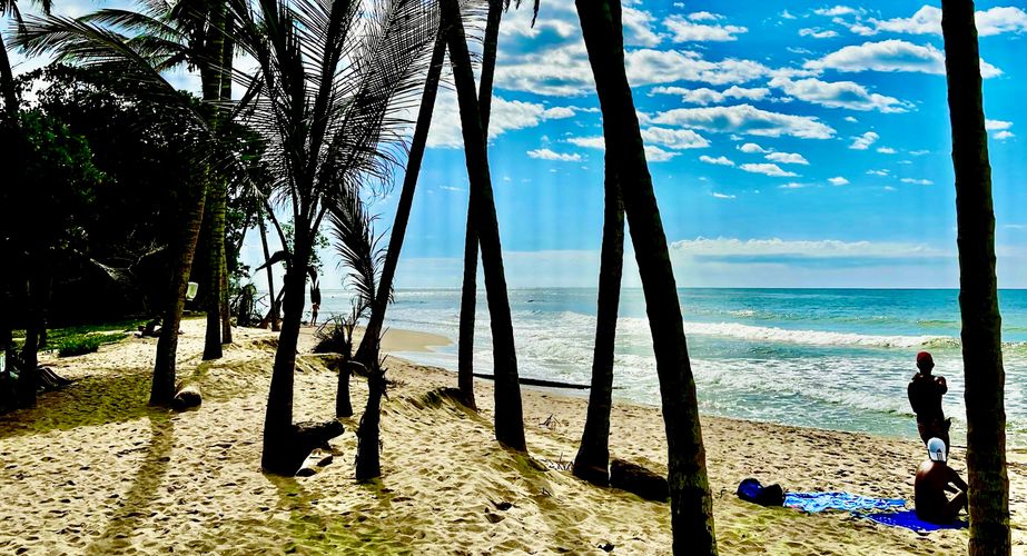 Palomino strand Palomino strand